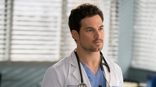 Grey's Anatomy Season 15 Episode 17 - And Dream of Sheep