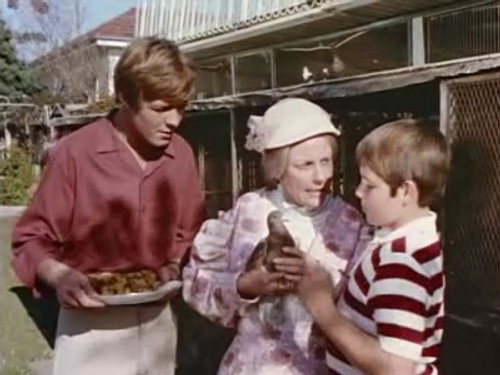 Skippy the Bush Kangaroo Season 3 Episode 12 - Pigeon Pair