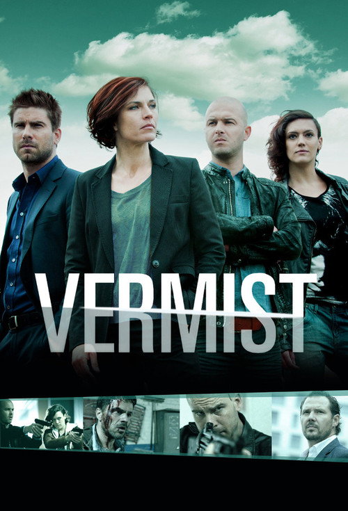 Vermist poster