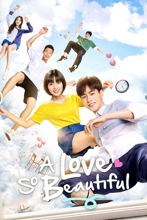 A Love So Beautiful poster