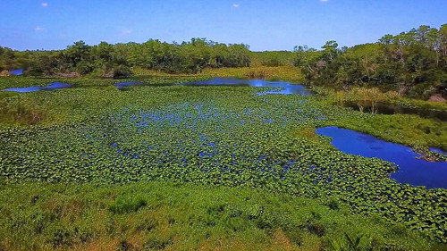 PARK'D with Abby Hornacek Season 1 Episode 4 - Everglades
