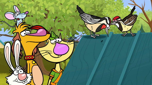 Nature Cat Season 1 Episode 35 - Woodpecker Picks a Place