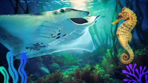 Reef School Season 2 Episode 4 - Reef Police