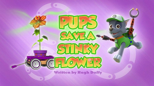 PAW Patrol Season 3 Episode 32 - Pups Save a Stinky Flower