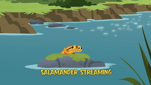 Wild Kratts Season 7 Episode 10 - Salamander Streaming