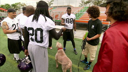 Pit Bulls and Parolees Season 5 Episode 5 - Giving Back