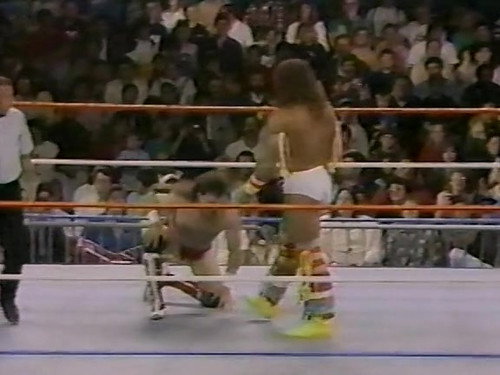 November 5, 1988 - Superstars of Wrestling 114 still