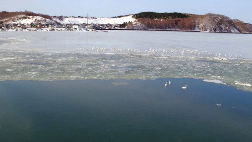 Wild Hokkaido! Season 4 Episode 7 - Lake Akkeshi in Winter