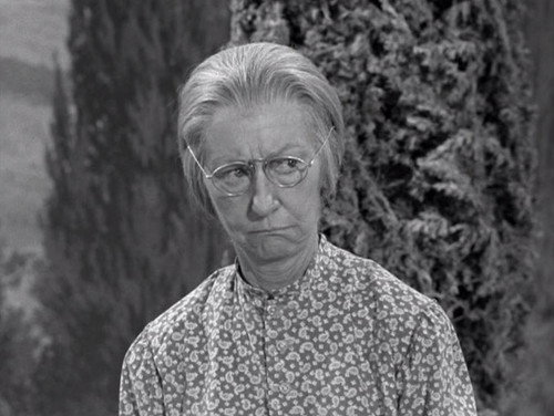 The Beverly Hillbillies Season 1 Episode 18 - Jed Saves Drysdale's Marriage