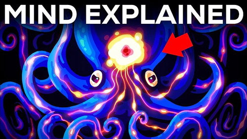 Kurzgesagt - In a Nutshell Season 14 Episode 5 - Let’s Dissect Your Brain