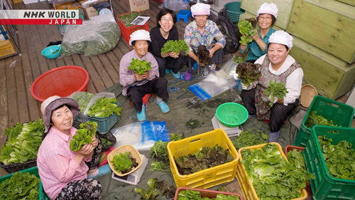 Asia Insight Season 14 Episode 9 - Sowing Sustainable Seeds: South Korea