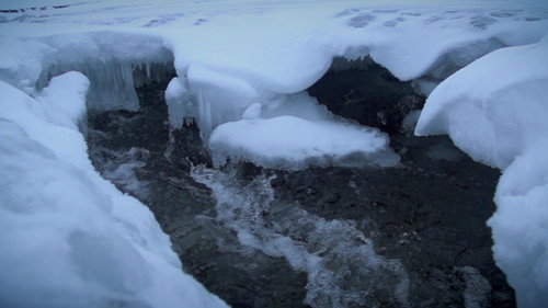 Life Below Zero Season 19 Episode 3 - Frigid Fortitudes