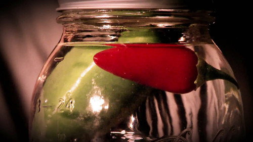 Moonshiners Season 5 Episode 13 - Shine 'Til You Drop