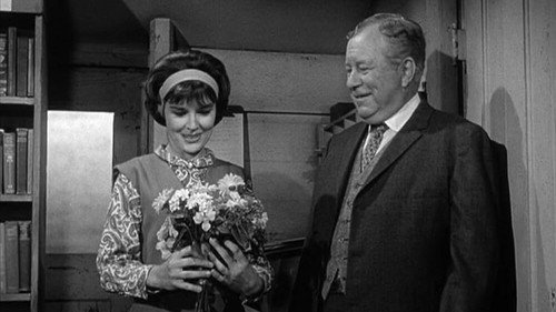 Petticoat Junction Season 2 Episode 3 - Have Library, Will Travel