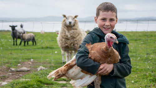 This Farming Life Season 7 Episode 7 - Island Farming on the Edge