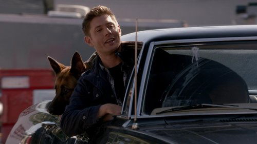 undefined Season 9 Episode 5 - Dog Dean Afternoon