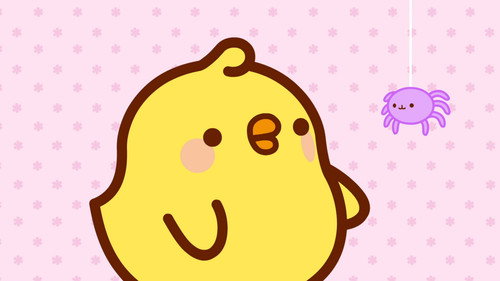 Molang Season 3 Episode 18 - The Spider