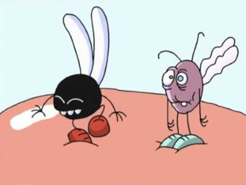 Fly Tales Season 1 Episode 14 - Superfeast at the Supermarket