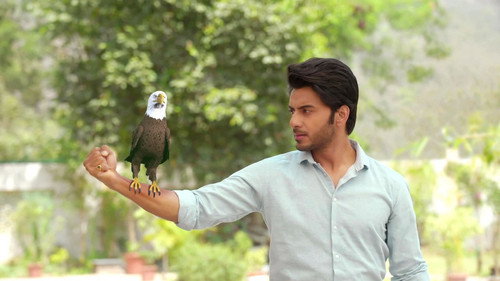 A New Challenge for Aman still