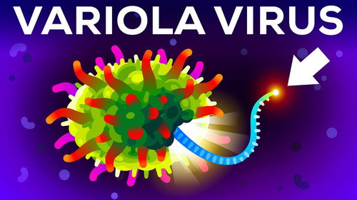 Kurzgesagt - In a Nutshell Season 11 Episode 9 - The (Second) Most Deadliest Virus on Earth