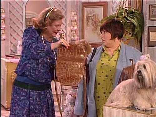 Roseanne Season 2 Episode 21 - Fender Bender