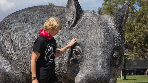 Back Roads Season 4 Episode 5 - Thallon, QLD