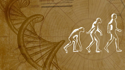 Inner Evolution Season 1 Episode 2 - Debunking Evolutionary Myths