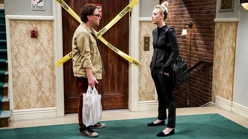 The Big Bang Theory Season 12 Episode 9 - The Citation Negation