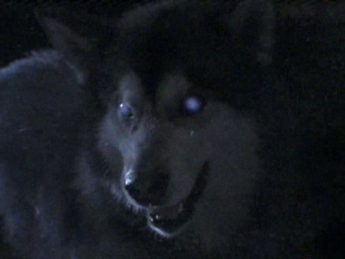 Are You Afraid of the Dark? Season 6 Episode 7 - The Tale of the Hunted