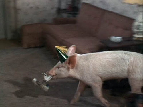 Green Acres Season 3 Episode 11 - Won't You Come Home, Arnold Ziffel?
