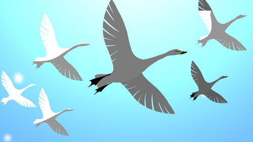 The Six Swans still