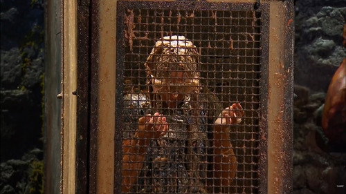 I'm a Celebrity...Get Me Out of Here! Season 21 Episode 14 - The Grim Grinder