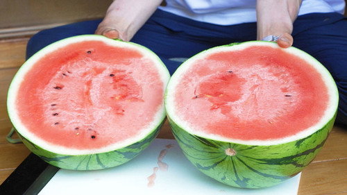Trails to Oishii Tokyo Season 4 Episode 17 - WATERMELON