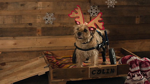 Colin from Accounts Season 3 Episode 8 - Rum 'n' Raisin