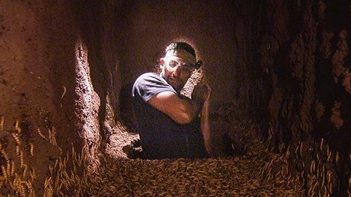 I'm a Celebrity...Get Me Out of Here! Season 17 Episode 2 - Critter-cal Rescue