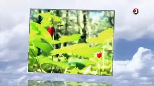 Moterys meluoja geriau Season 5 Episode 7 - Episode 7