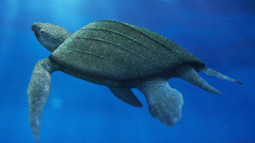 Eons Season 5 Episode 5 - The Return of Giant Skin-Shell Sea Turtles