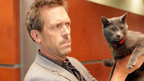 undefined Season 5 Episode 18 - Here Kitty