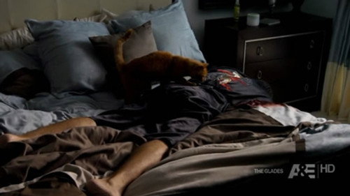 The Glades Season 1 Episode 5 - The Girlfriend Experience