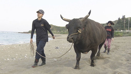 Hometown Stories Season 9 Episode 14 - Bullfights & Big Dreams