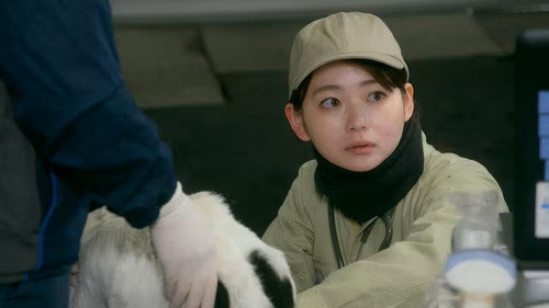 In Lilac Bloom, The Path to a Veterinarian Season 2 Episode 1 - Episode 1