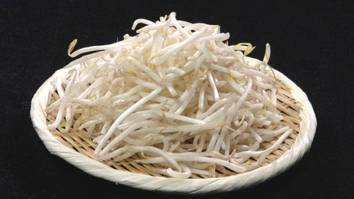 Trails to Oishii Tokyo Season 4 Episode 3 - BEAN SPROUTS