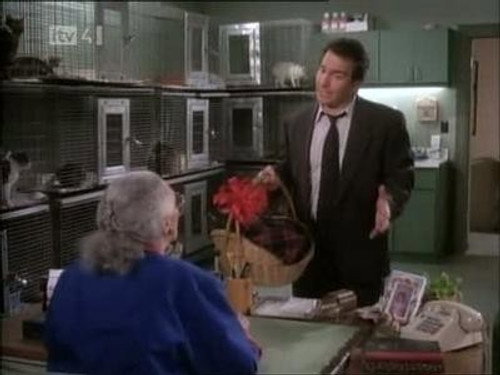 Dream On Season 4 Episode 24 - Felines ... Nothing More Than Felines