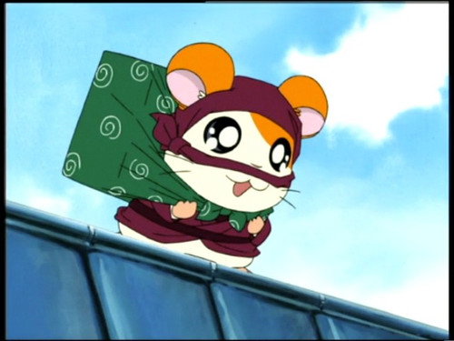 It's Robin-Ham! still