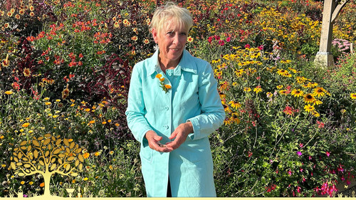 Gardeners' World Season 57 Episode 11 - Episode 11