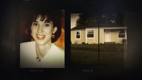 The Disappearance of Sandi Johnson still