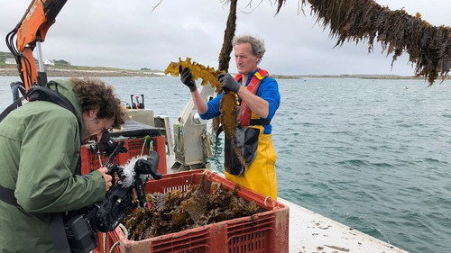 42: The Answer to Almost Everything Season 1 Episode 20 - Could Algae Save the Planet?