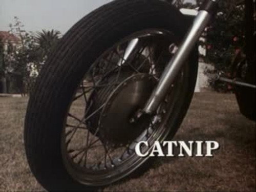Darkroom Season 1 Episode 11 - Catnip