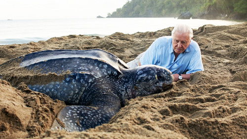 Blue Planet II Season 1 Episode 7 - Our Blue Planet