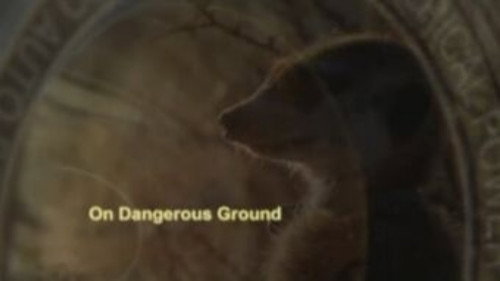 Meerkat Manor Season 3 Episode 1 - On Dangerous Ground
